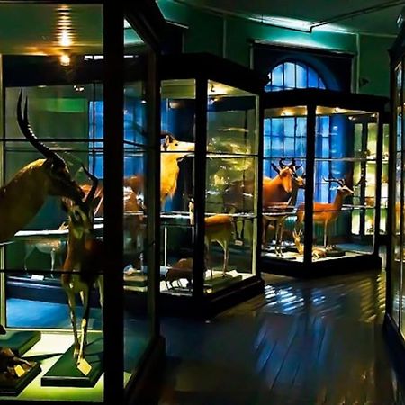 Spacious Historical Art Oasis In The City Center 卑爾根 外观 照片