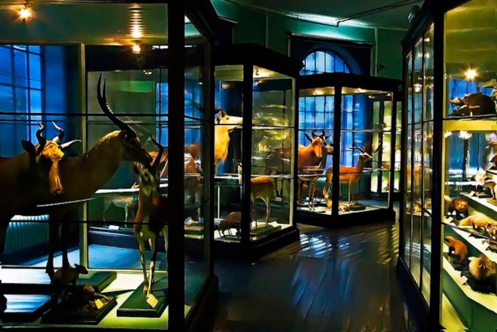 Spacious Historical Art Oasis In The City Center 卑爾根 外观 照片